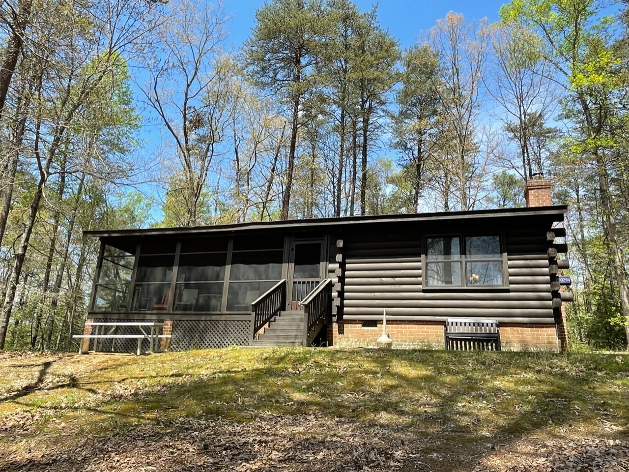 Pine Cabin (294)